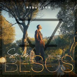 Album cover of Son los besos