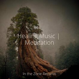 Album cover of Healing Music | Meditation
