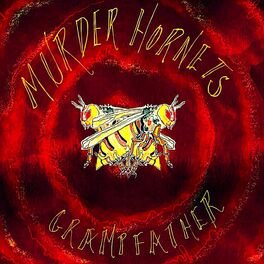 Album cover of Murder Hornets