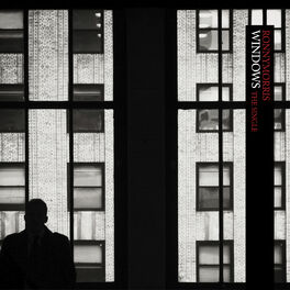 Album cover of Windows