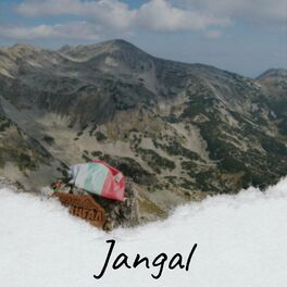 Album cover of Jangal
