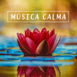 Album cover of Música Calma