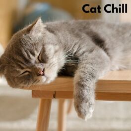 Album cover of Cat Chill (Loopable, No Fade)