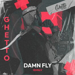 Album cover of Damn Fly
