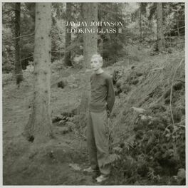 Album cover of Looking Glass, Vol. 2 (Bury the Hatchet Bonus Album)