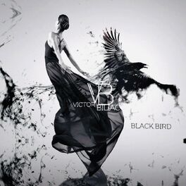 Album cover of Black Bird