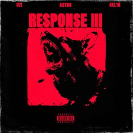 Album cover of RESPONSE 3 (feat. Kel1k & UZI)