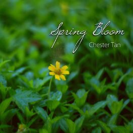 Album cover of Spring Bloom
