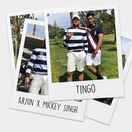 Album cover of Tingo