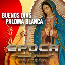 Album cover of Buenos dias paloma blanca