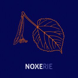 Album cover of Noxerie (feat. NOSFE, Kheops, Passcall, Pazzo, Flobo, SEZ & DJ Nasa)