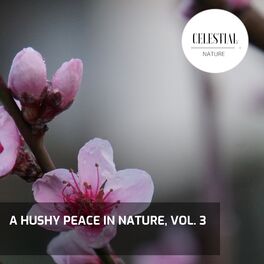 Album cover of A Hushy Peace in Nature, Vol. 3