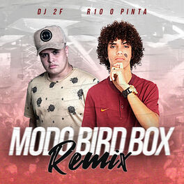 Album cover of Modo Bird Box (Remix)