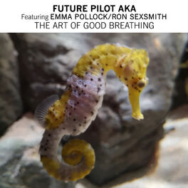 Album cover of The Art Of Good Breathing