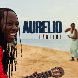 Album cover of Lándini