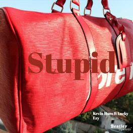 Supreme Louis Vuitton Duffle Bag Dhgate