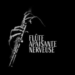 Album cover of Flûte apaisante nerveuse: Méditation à la flûte, Détendez-vous avec la flûte, Temps d'auto-guérison, Musique autochtone, Vibration