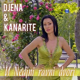 Album cover of U Nedini ravni dvori