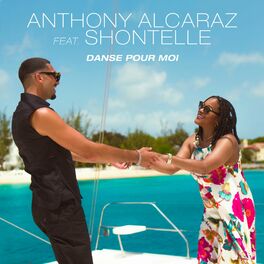 Album cover of Danse Pour Moi (feat. Shontelle)