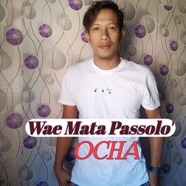 Album cover of Wae Mata Passolo