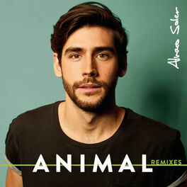 Album cover of Animal (Remixes)