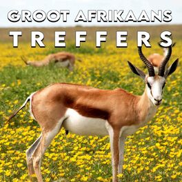 Album cover of Groot Afrikaans Treffers