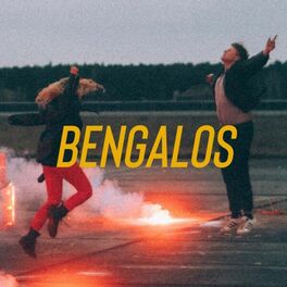 Album cover of Bengalos