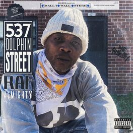 Album cover of 537 Dolphin Street
