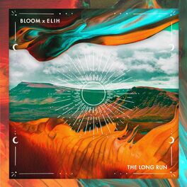 Album cover of The Long Run