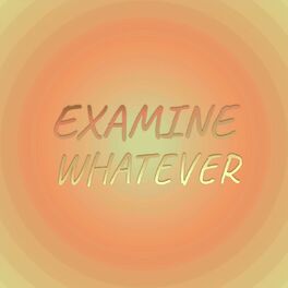 Album cover of Examine Whatever