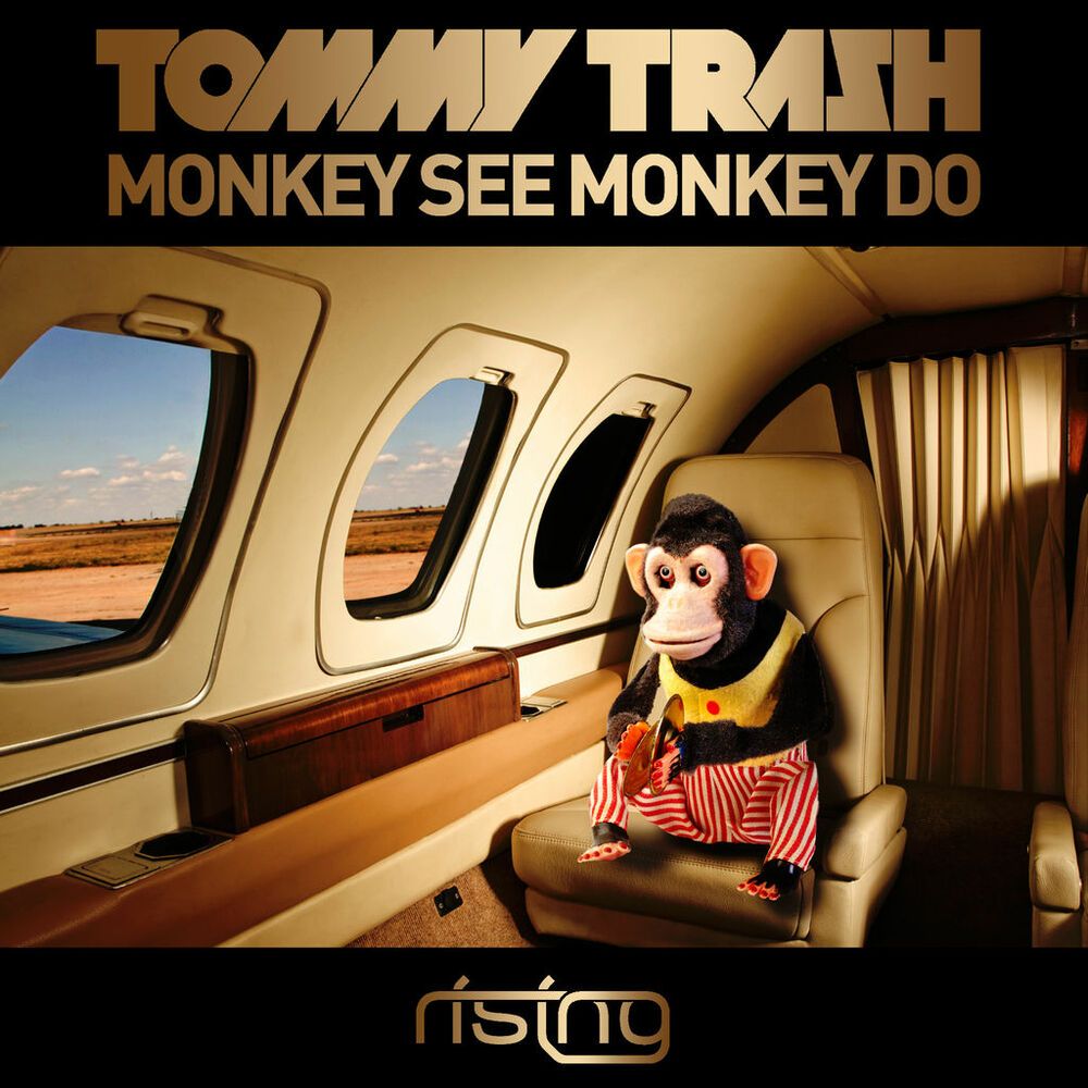 Monkey песня слушать. Tommy Trash - Monkey see Monkey do (Tom Staar Remix). Monkey see Monkey do. Tommy Trash - Monkey see Monkey do (Tom Staar Remix).mp3.