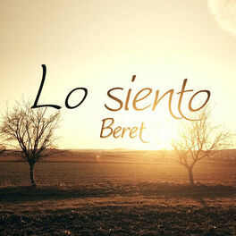 Album cover of Lo siento