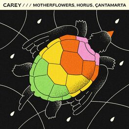 Album cover of Carey