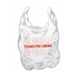 Album cover of no problem