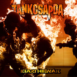 Album cover of Igazi Hiénák