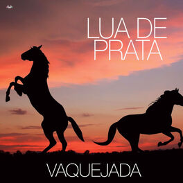 Album cover of Lua De Prata