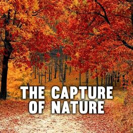 Album cover of The Capture of Nature