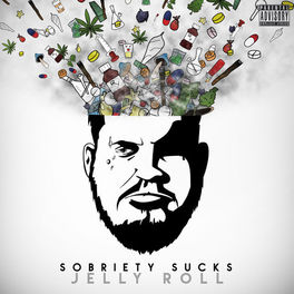 Album cover of Sobriety Sucks