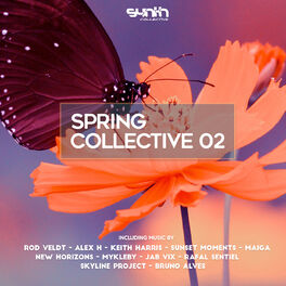 Album cover of Spring Collective 02