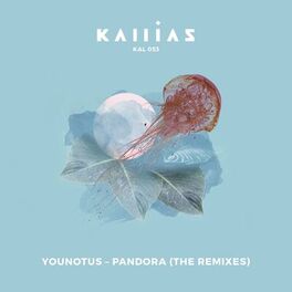 Album cover of Pandora (The Remixes)