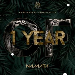 Album cover of 1 Year of Namata