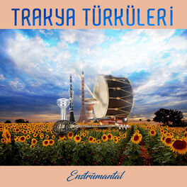 Album picture of Trakya Türküleri (Enstrümantal)