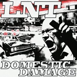 Album cover of Domestic Damage