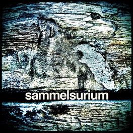 Album cover of Sammelsurium