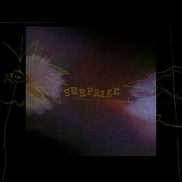 Album cover of Surprise