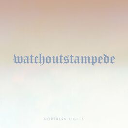 Album cover of Northern Lights (Instrumental)