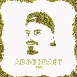 Album cover of Abgegrast