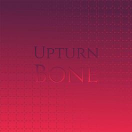 Album cover of Upturn Bone