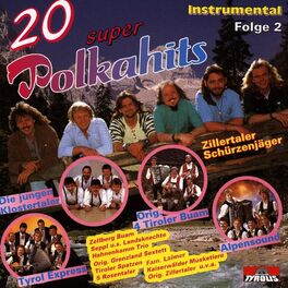 Album cover of 20 super Polkahits - Folge 2