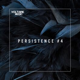 Album cover of Voltaire Music pres. Persistence #4